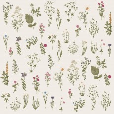 Serviet Flora 50 stk pr pakke