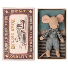 Little brother mouse in matchbox