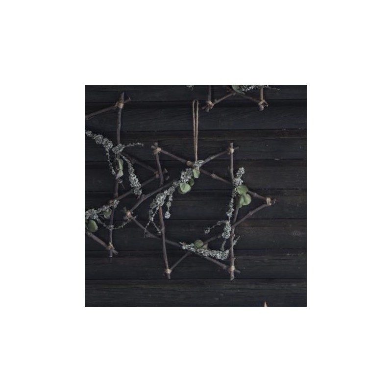 Billede af Stjerne af grene - Ib Laursen 40x40 cm