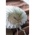 Papirklip blomst til ophæng lysebrun - Ib Laursen - Dia: 8 cm