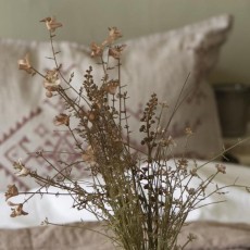 Stilk / blomst brune nuancer - Ib Laursen