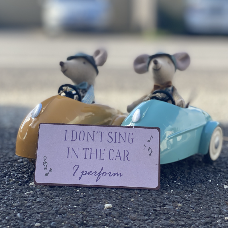Billede af Magnet - Ib Laursen I don't sing in the car I perform