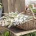 Stilk / blomst lavendel & hvide nuancer - Ib Laursen