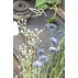 Stilk / blomst lavendel & hvide nuancer - Ib Laursen
