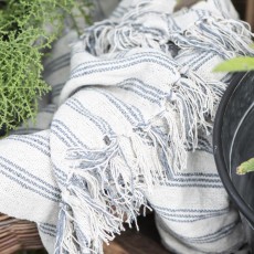 Plaid creme m/ lyseblåt stribemønster - Ib Laursen