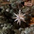 Ornament, Spike, Sølv m. glimmer