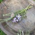Evighedsblomster buket lille lilla / rosa - Ib Laursen