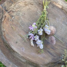Evighedsblomster buket lille lilla / rosa - Ib Laursen