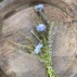Evighedsblomster buket lys blå - Ib Laursen