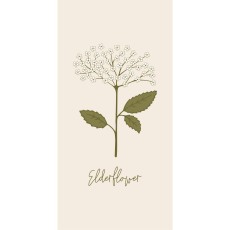 Servietter "Autumn Botanical" m/ stilke & blomster - Ib Laursen 16 stk.