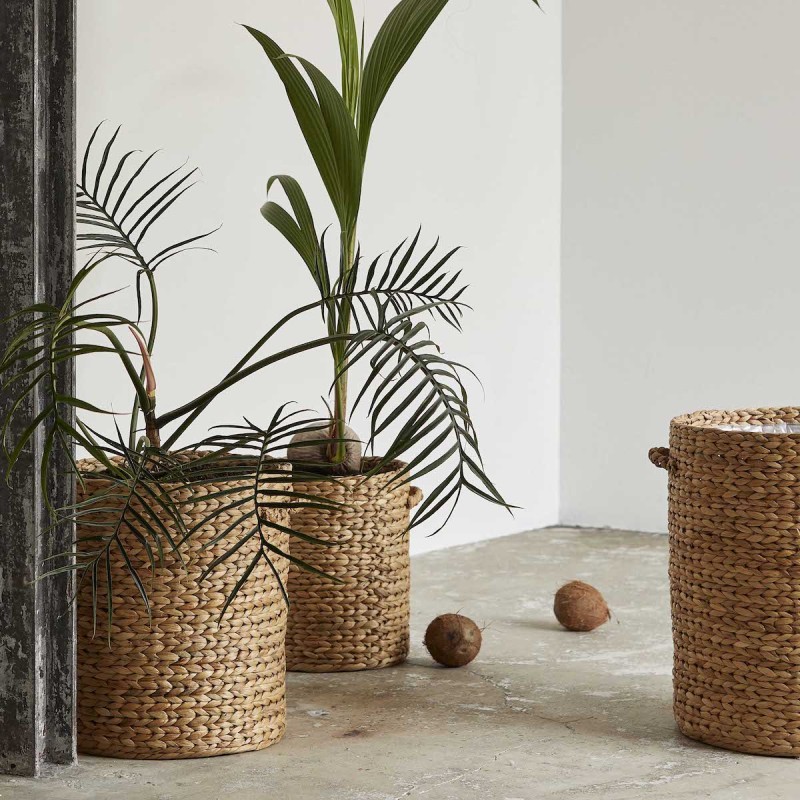 Billede af Kurv / skjuler Ross vandhyacint m/ plastik - Nordal - vælg ml. 3 str.