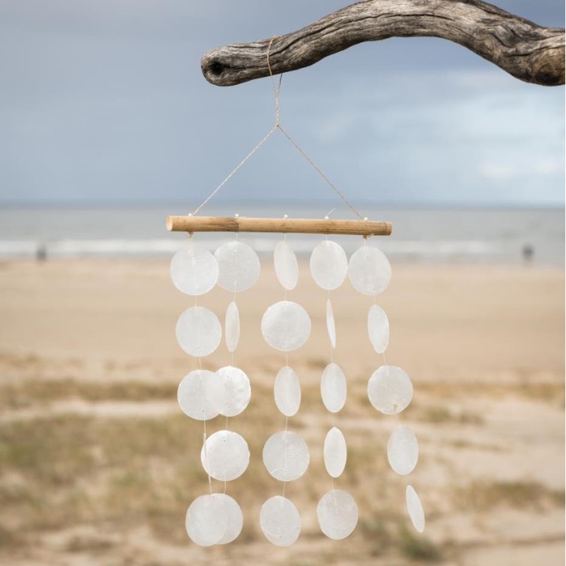 #1 på vores liste over strandskaller er Strandskaller