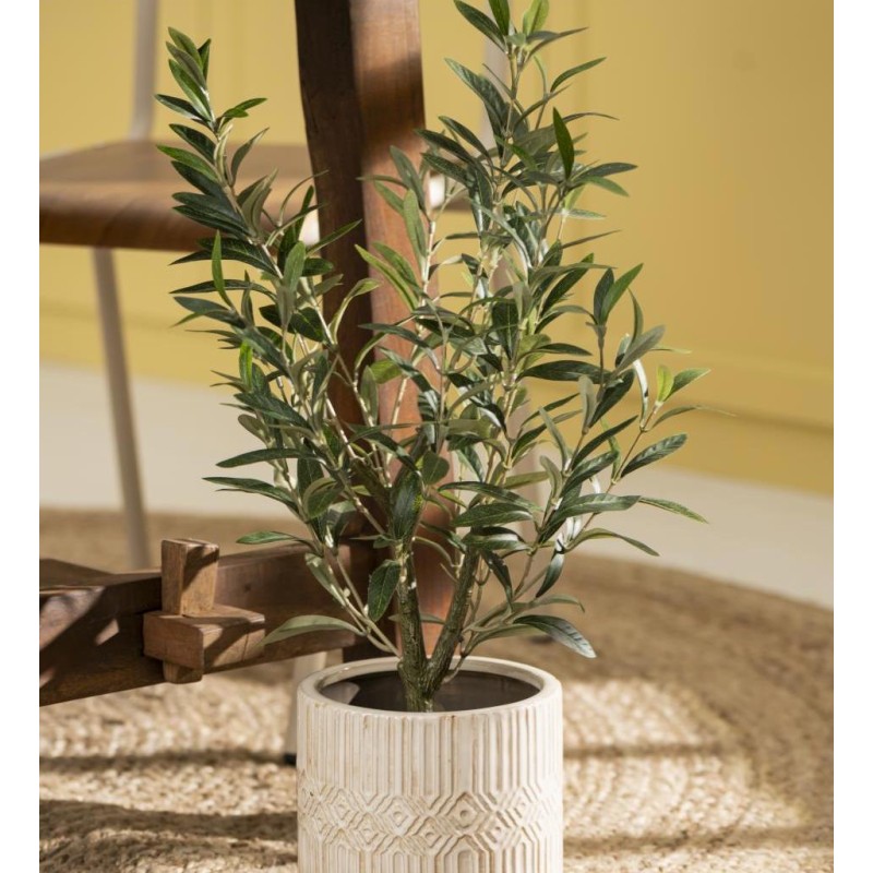 5: Oliventræ i potte - Ib Laursen H: 67