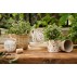 Skjuler "Meadow Blossom" konisk - Ib Laursen H: 10,7