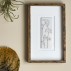 Illustration m/ ramme "Mey" Natur - Bloomingville