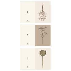 Dobbeltkort m/ blomstermotiver - Ib Laursen - 3 stk.