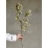 Stilk "Waxflower" råhvid kunstig - Bloomingville H: 91