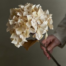 Stilk Hortensia natur, kunstig - Bloomingville - H: 65 cm