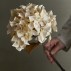 Stilk Hortensia natur, kunstig - Bloomingville - H: 65 cm