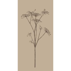 Servietter beige m/ brun skærmblomst - Ib Laursen 16 stk.