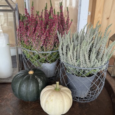 Skjulersæt af metaltråd - Ib Laursen