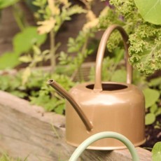 Vandkande gylden brun - Ib Laursen 0,9 ltr