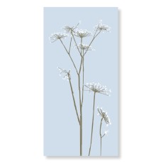 Servietter lyseblå m/ skærmblomster - Speedtsberg 16 stk.