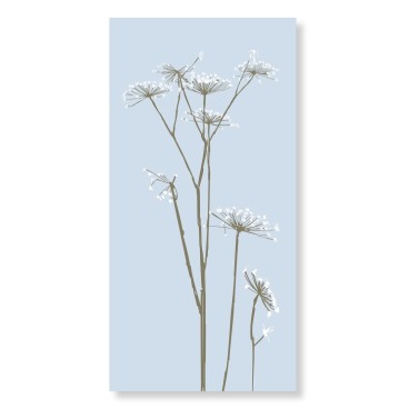 Servietter lyseblå m/ skærmblomster - Speedtsberg 16 stk.