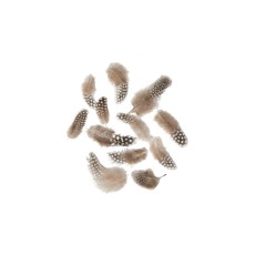 Pyntefjer perlehøne i pose 24 stk. - Speedstberg