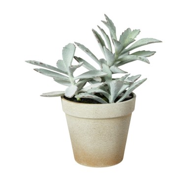 Sukkulent plante grøn, kunstig - Speedtsberg - H: 20