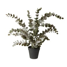Eukalyptus plante i potte, kunstig - Speedtsberg - H: 54