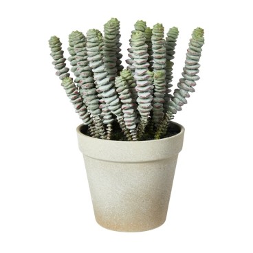 Sukkulent plante grøn, kunstig - Speedtsberg - H: 20