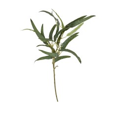 Stilk aflang eukalyptus grøn, kunstig - Speedtsberg - H: 85 cm