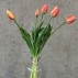 Tulipan bundt á 5 stk. peach, kunstig - Barbara H:41 cm