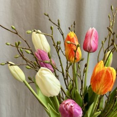 Grene "Tilia" bundt á 3 stk., kunstig - Barbara H:56 cm