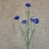 Kornblomst buket blå, kunstig - Barbara H:66 cm