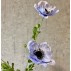 Anemone lys lilla , kunstig - Barbara H:81 cm