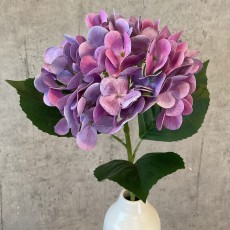 Hortensia lilla, kunstig - Barbara H:65 cm