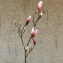 Magnolia gren rosa, kunstig - Barbara H:88 cm