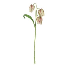 Vibeæg muliticolor, kunstig - Barbara H:33 cm