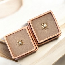 Ørestik "One Piece" - Friihof + Siig - guldbelagt stjerne m/ sten