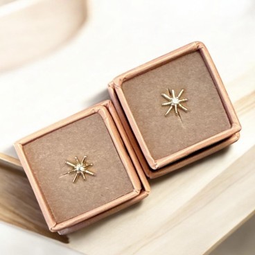 Ørestik "One Piece" - Friihof + Siig - guldbelagt stjerne m/ sten