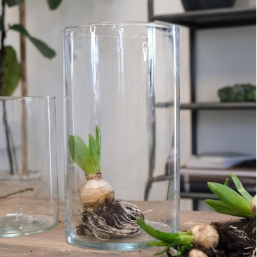 Vase cylinderformet "Blunt" - Trademark Living H: 29 cm