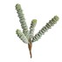 Sukkulent 4gren, kunstig - Speedtsberg - H: 15