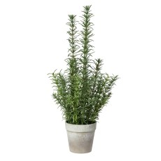 Rosmarin i potte kunstig - Speedtsberg - H: 41