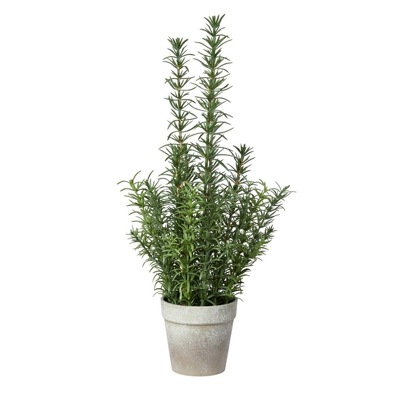 Rosmarin i potte kunstig - Speedtsberg - H: 41