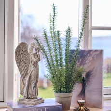 Rosmarin i potte kunstig - Speedtsberg - H: 58