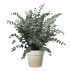 Eukalyptus plante i potte, kunstig - Speedtsberg - H: 66