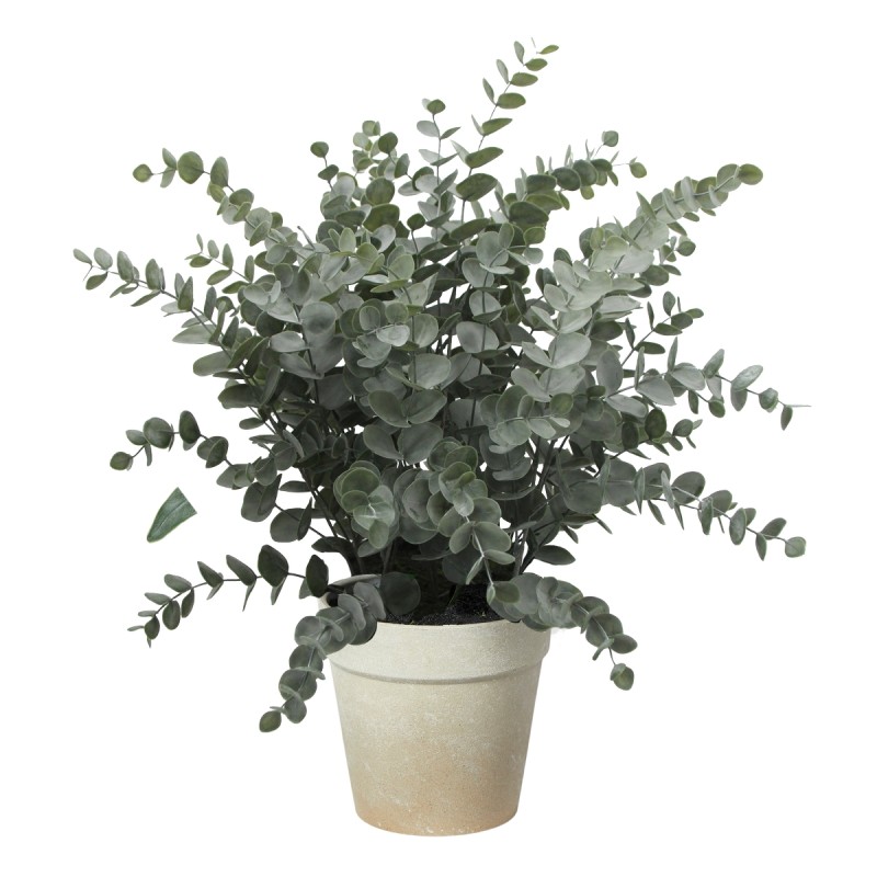 Eukalyptus plante i potte, kunstig - Speedtsberg - H: 66