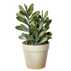 Sukkulent plante grøn, kunstig - Speedtsberg - H: 20